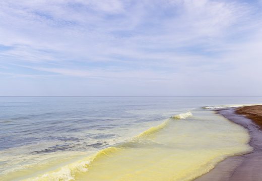 Juodkrantė · geltona jūra, pušų žiedadulkės, debesys