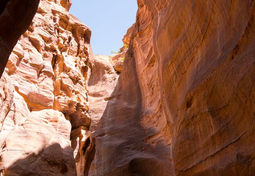 Petra · The Siq