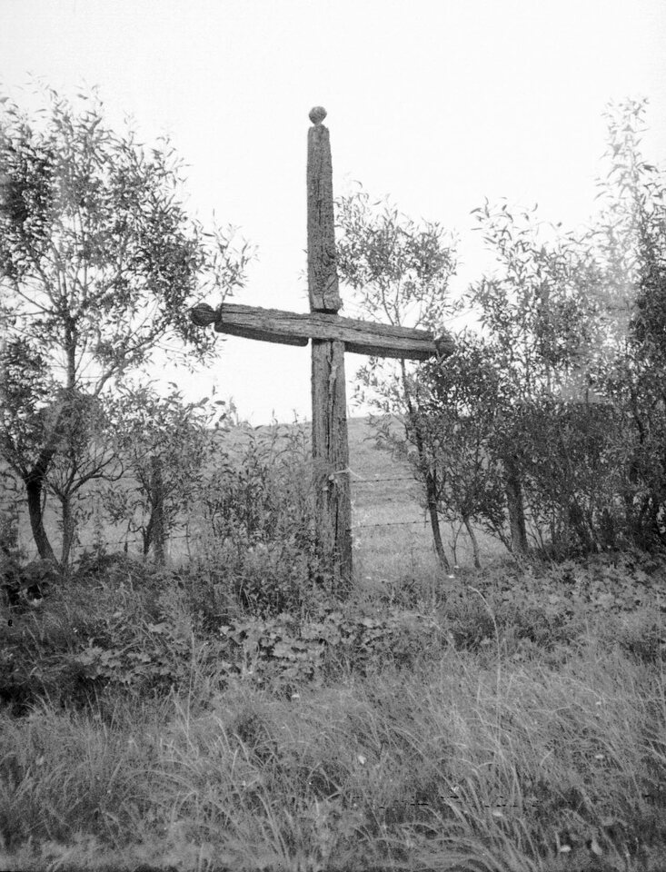 Žemaitija · 219 kryžius