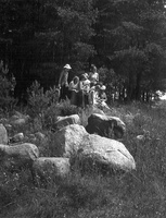 botanikos praktika 1986 · ant akmenų 1
