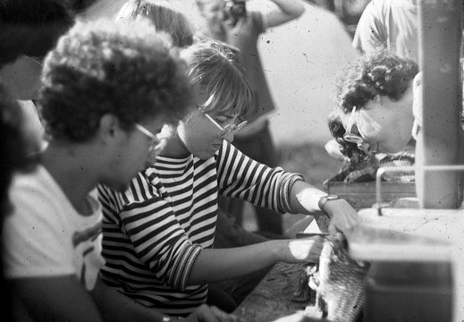 zoologijos praktika 1986 · Paulius Kovas skrodžia žuvį