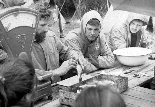 zoologijos praktika 1986 · Vytas Vizgirda, Darius Duoba skrodžia žuvį