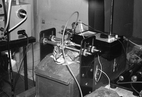 biofizikų laboratorijos 85-89 · ruošiamasi regos neuronų tyrimo eksperimentui