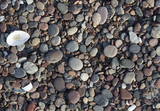 Juodkrantė · akmenukai prie jūros