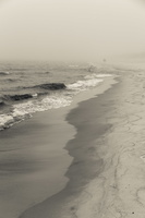 Juodkrantė · jūra, smėlis, rūkas