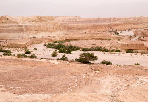 Negev · wadi