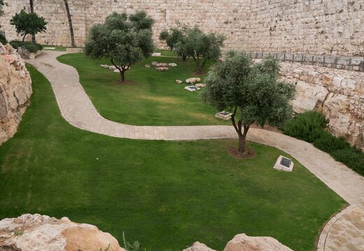 Jerusalem · Corob gardens