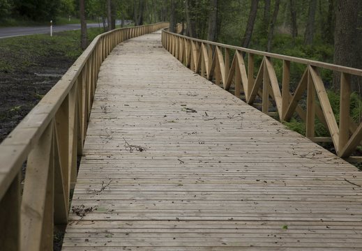 Juodkrantė · dviračių takas, medinis tiltas 4342