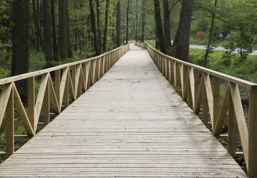 Juodkrantė · dviračių takas, medinis tiltas 2016-05-18
