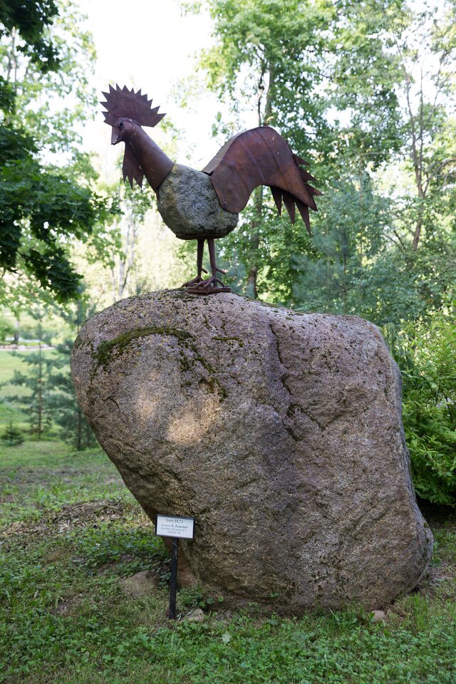 Taujėnų dvaras · gaidžio skulptūra parke